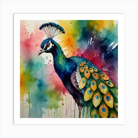 Peacock Painting 1 Art Print