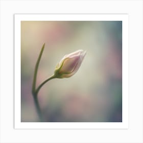 A Close Up Of A Delicate Flower Bud Just Beginning To Bloom, With Soft Petals And Hints Of Vibrant C (6) Art Print