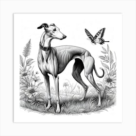 Line Art greyhound dog 3 Art Print