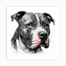 Pitbull Head - Abstract Line Art Illustration 232 Art Print