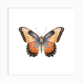 Butterfly 50 Art Print