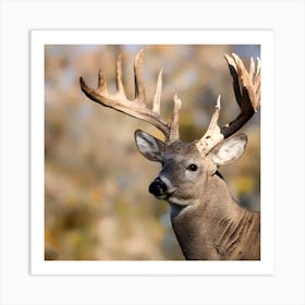 Whitetail Deer 1 Art Print