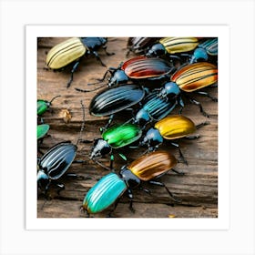 Beetles 1 Art Print