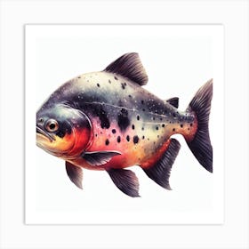 Piranha Art Print