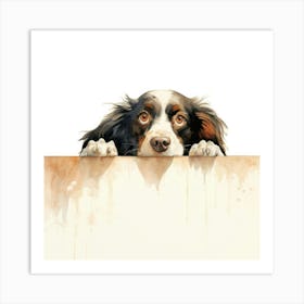 Spaniel Clumber 2 Art Print