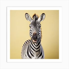 Zebra Art Print