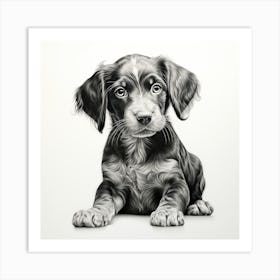 Black And White Puppy Art Print