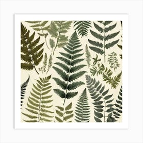 Ferns 7 Art Print