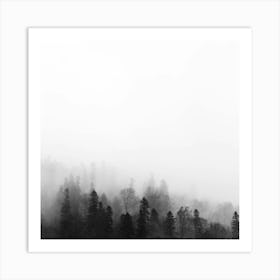 Foggy Forest Art Print