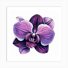 Orchid flower 3 Art Print