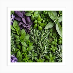 Top View Of Herbs On Green Background Art Print