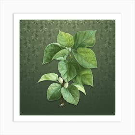 Vintage White Mulberry Plant Botanical on Lunar Green Pattern n.0108 Art Print