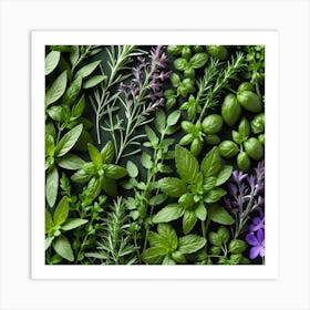 Top View Of Herbs On Green Background 1 Art Print