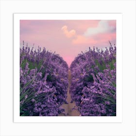 Lavender Field At Sunset Art Print