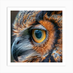 The Mesmerizing Gaze of an Owl Art Print