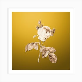 Gold Botanical Pink Cabbage Rose on Mango Yellow n.3047 Art Print