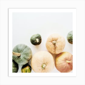 Pumpkins On White Background Art Print