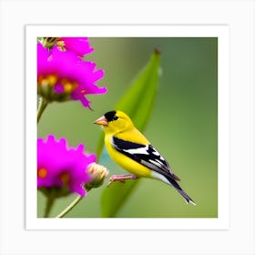 Goldfinch 11 Art Print