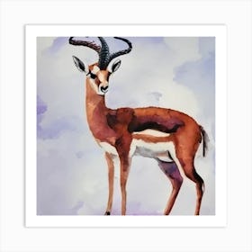 Antelope Art Print