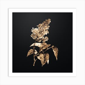 Gold Botanical Common Pink Lilac Plant on Wrought Iron Black n.4833 Art Print
