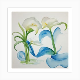 Calla Lilies Art Print