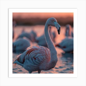 Flamingos At Sunset 2 Art Print