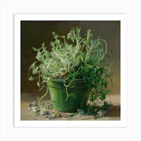 Pot Of Herbs Art Print