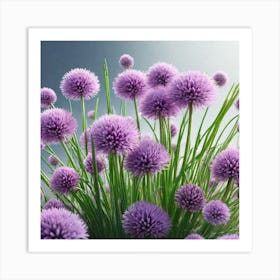 Purple Chrysanthemums Art Print