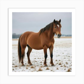 Horse Standing In The Snow 4 Art Print