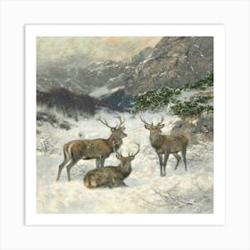 Deer In The Snow Art Print