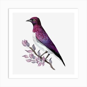 Purple Kingfisher 1 Art Print