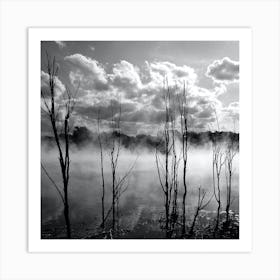 Misty Lake - Rotorua New Zealand Art Print