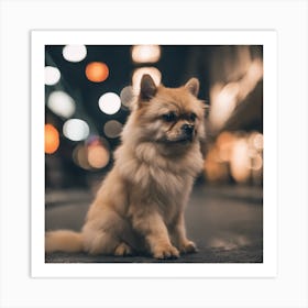 Pomeranian Dog At Night Art Print