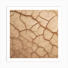 Cracked Earth 4 Art Print