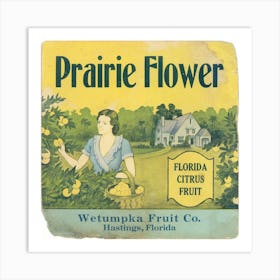 Prairie Flower Citrus Label (1930 1950) Art Print