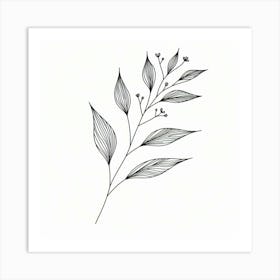 Drawing Of A Leaf Art Print