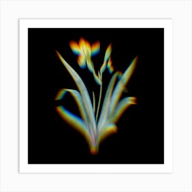 Prism Shift Hungarian Iris Botanical Illustration on Black Art Print