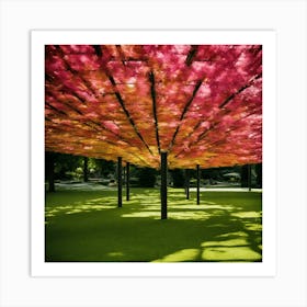 Sakura Canopy Art Print