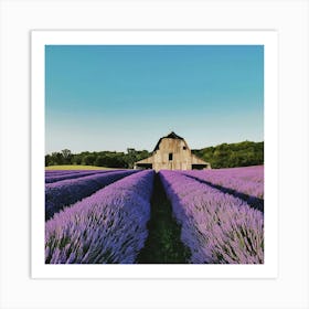 Lavender Field With Barn 1 Art Print