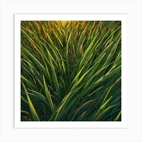 Grass 1 Art Print