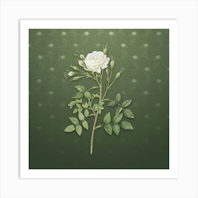Vintage White Rose of Rosenberg Botanical on Lunar Green Pattern n.0276 Art Print
