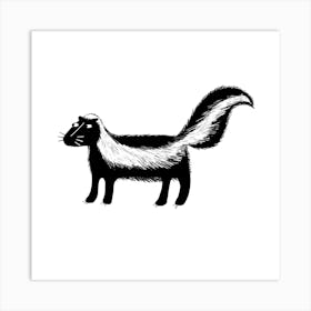 Skunk Art Print