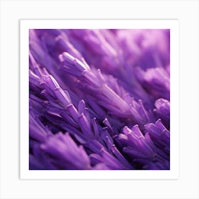 Lavender Flowers 10 Art Print