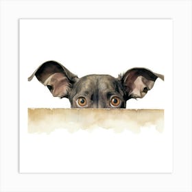 Xoloitzcuintli Dog 3 Art Print