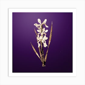 Gold Botanical Yellow Banded Iris on Royal Purple Art Print