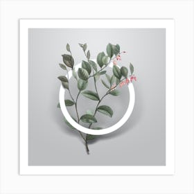 Vintage Andromeda Axillaris Bloom Minimalist Botanical Geometric Circle on Soft Gray Art Print