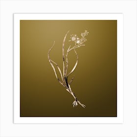 Gold Botanical Phalangium Bicolor on Dune Yellow n.0515 Art Print