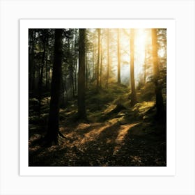 Sun Rising In A Forest Art Print