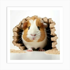 Guinea Pig In A Hole Art Print