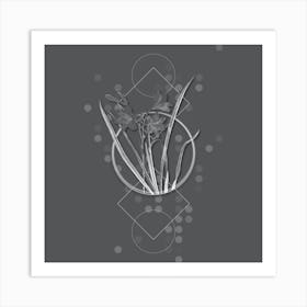 Vintage Daylily Botanical with Line Motif and Dot Pattern in Ghost Gray Art Print